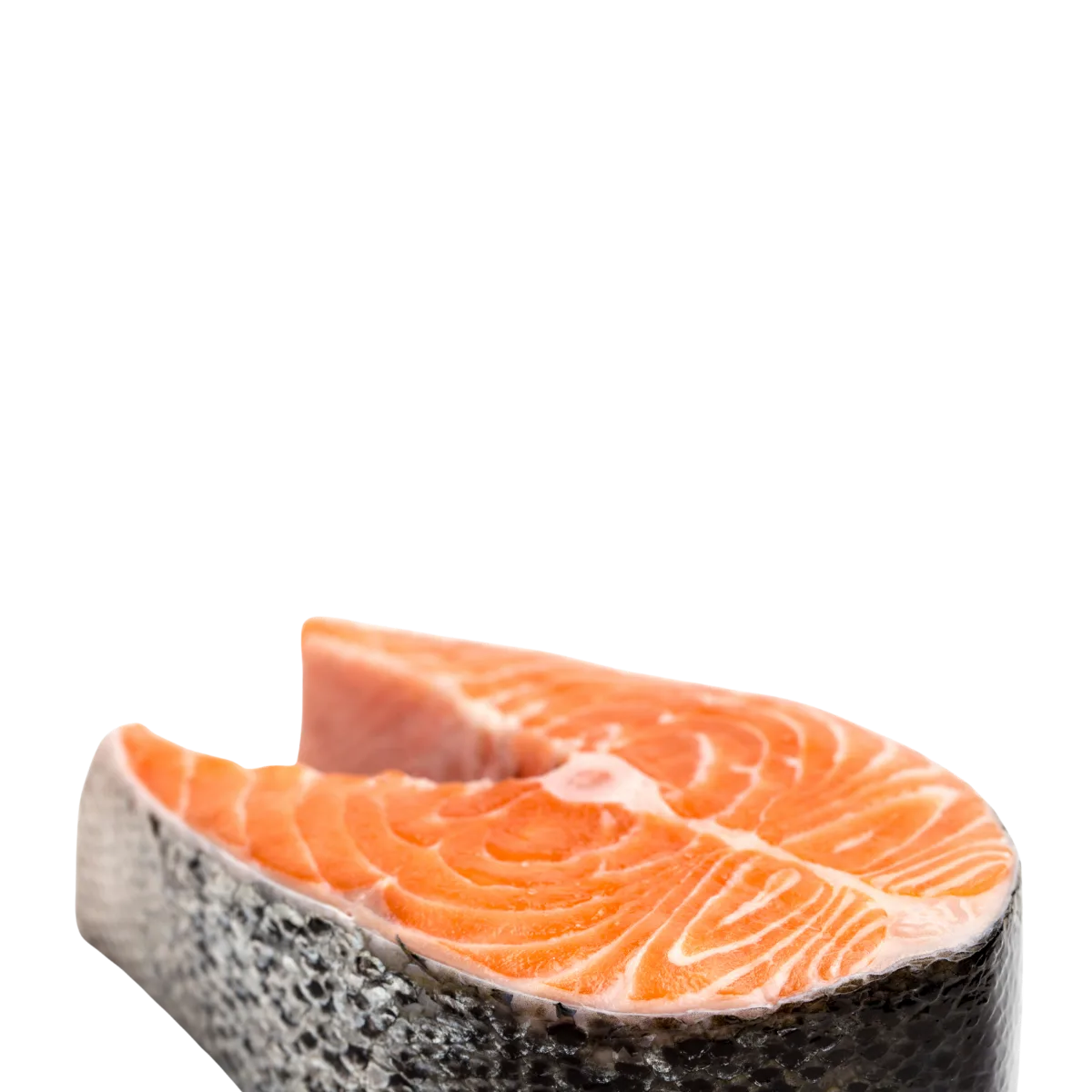 Tentang Kami - Beku Prima Nusantara